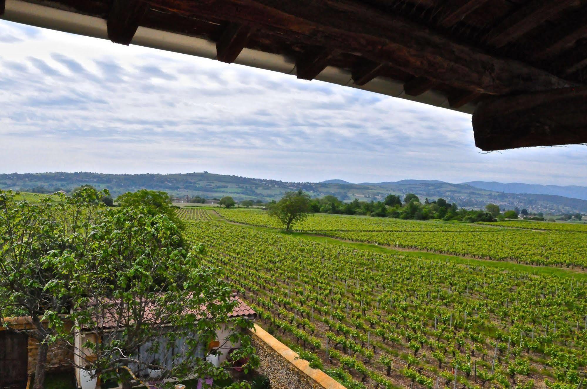 Le Clos Du Cher En Beaujolais Saint-Germain-Nuelles Exterior photo