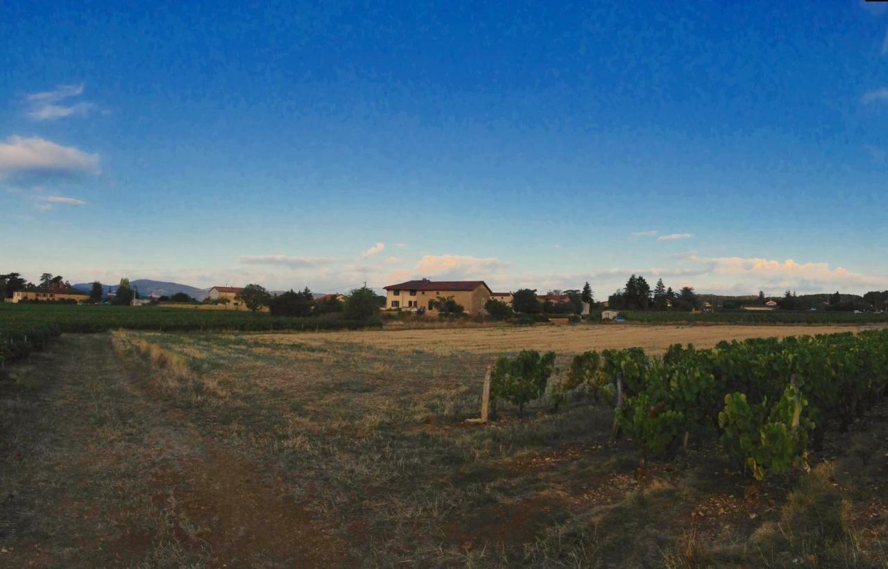 Le Clos Du Cher En Beaujolais Saint-Germain-Nuelles Exterior photo