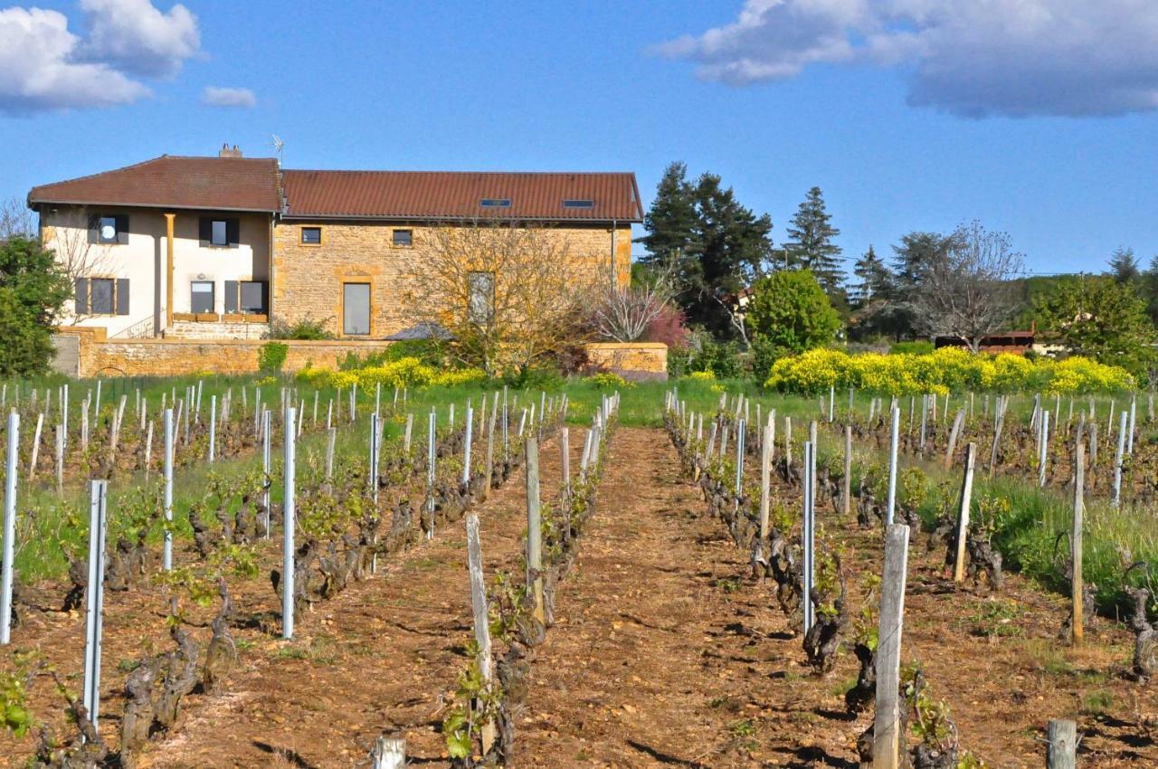 Le Clos Du Cher En Beaujolais Saint-Germain-Nuelles Exterior photo